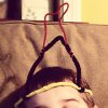 Courtly Pipe Cleaner Crowns