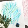 Leaf Rubbings and Dappled Crayons