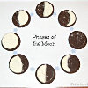 BiteSized Moon Phases
