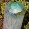 Colorful Ice Art