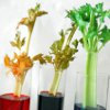 22 Science Experiment Projects for Kids