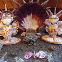 Seashell Fairies