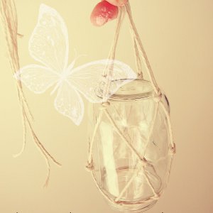 Hanging Glass Butterfly Feeder